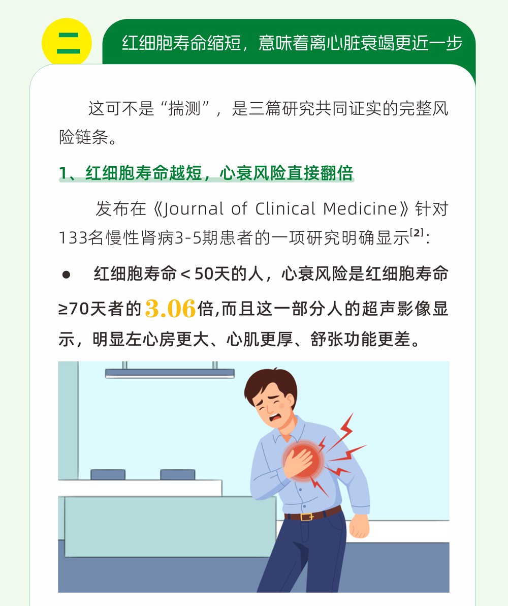 B6关注红细胞寿命，降低猝死风险_06