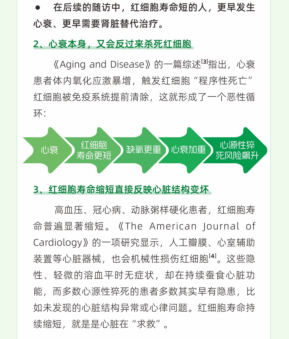 B7关注红细胞寿命，降低猝死风险_07